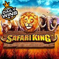 vs50safarikinge90e